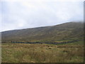 NN0587 : Large enclosure in Glen Mallie by Ali Ogden