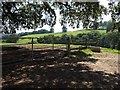 Shade at Higher Staplehill