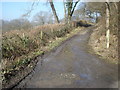 SO2760 : Offa's Dyke Path at Burfa Wood by Trevor Rickard