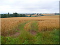 View west from Mullhampton Lane