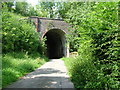 NY6916 : Mill Lane Railway Bridge, Great Ormside by David Brown
