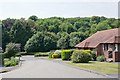 Lashly Meadow, Hambledon