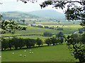 Valley of the Afon Teifi north-west of Tregaron