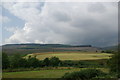 Farmland amidst the forestry at Auchareoch