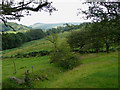 Rough pasture south-east of Tregaron, Ceredigion