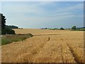 Farmland, Little Marlow