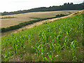 Farmland, Little Marlow