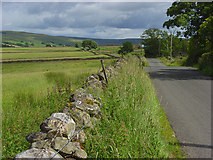 NY7142 : The Leadgate to Garrigill road by Andrew Smith