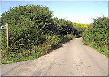SW4939 : Towednack Road by Pierre Terre
