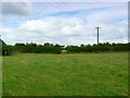 Farmland west of Grittenham