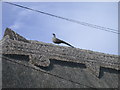 Thatch Pheasant, West Street