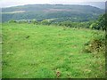 Field near Glynllech Uchaf