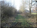 Old railway trackbed near Ashley - 2