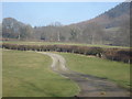 Track leading to Ashley Farm