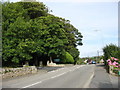 Entrance to the Pencraig campus of Coleg Menai FE in Penmynydd Road