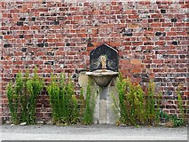 SJ3391 : Old drinking fountain, Trafalgar  Branch Dock by Rose and Trev Clough
