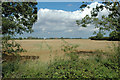 Looking towards May Dale Farm