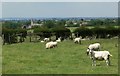 A view into South Nottinghamshire