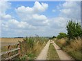 Byway, Longstock