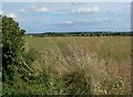 South Nottinghamshire countryside