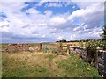 Stone Stile on Deeside path at Neston