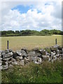 Newly mown field at White Alice Farm