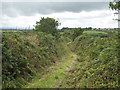 Bridleway at Higher Carn