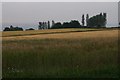 Farmland at New Alyth