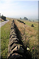 Dry stone wall below The Roaches