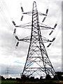 Electricity pylon in field by Herne Hill  Farm