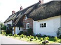 Thatched cottages, Fontmell Magna