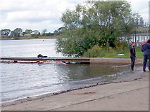 J0561 : Speedboat Submerged at Kinnego Marina by P Flannagan