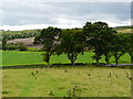 Farmland at Cambusavie