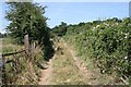 Country Lane to the fields