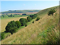 Downland, Maiden Bradley