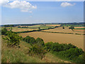 Farmland below White Sheet Hill