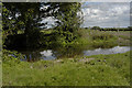 Small pond adjacent to Cutts Lane