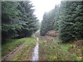 NN2183 : Southward down soaked forestry track near Spean Bridge by Phillip Williams