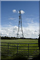 Pylon adjacent to Cutts Lane