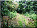 Footpath, Lyme Regis