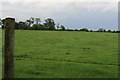 O1751 : Farmland at Deanestown, Co. Dublin. by Colm O hAonghusa
