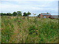 Waste ground north of Kingstone