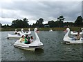 SP9634 : Woburn Safari Park - Swan Boats by Kenneth  Allen