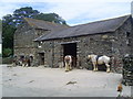 SD1684 : Cumbrian Heavy Horse Equestrian Centre, Chappels Farm by Graham Hale