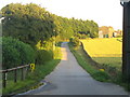 Farm road, Manor Farm