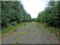 Forestry track near Corrieour Farm