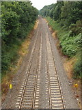 SU9989 : Railway cutting at Gerrards Cross by David Hawgood