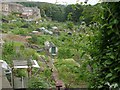 Allotments - Pye Nest Road