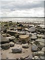 NU2612 : Rocks at Seaton Point by Alison Rawson