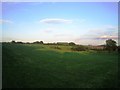 Farmland west of Chilmark Down